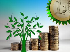 gestapelte Münzen und ein grünes Bäumchen davor