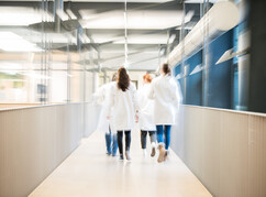 Jungforscherinnen am Gang eines Instituts von hinten fotografiert