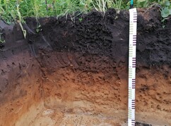 Foto einer 100 cm dicken Querschnittsansicht eines bewirtschafteten Ackerbodens