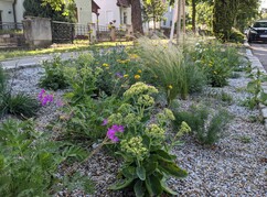 Unterpflanzung von Bäumen in Retz